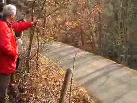 rallye monte carlo 2008