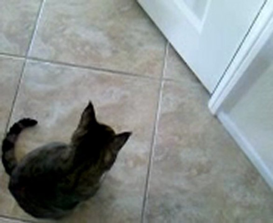 Locked in the Pantry