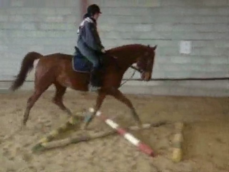 Séance de barres au sol 22.02.10