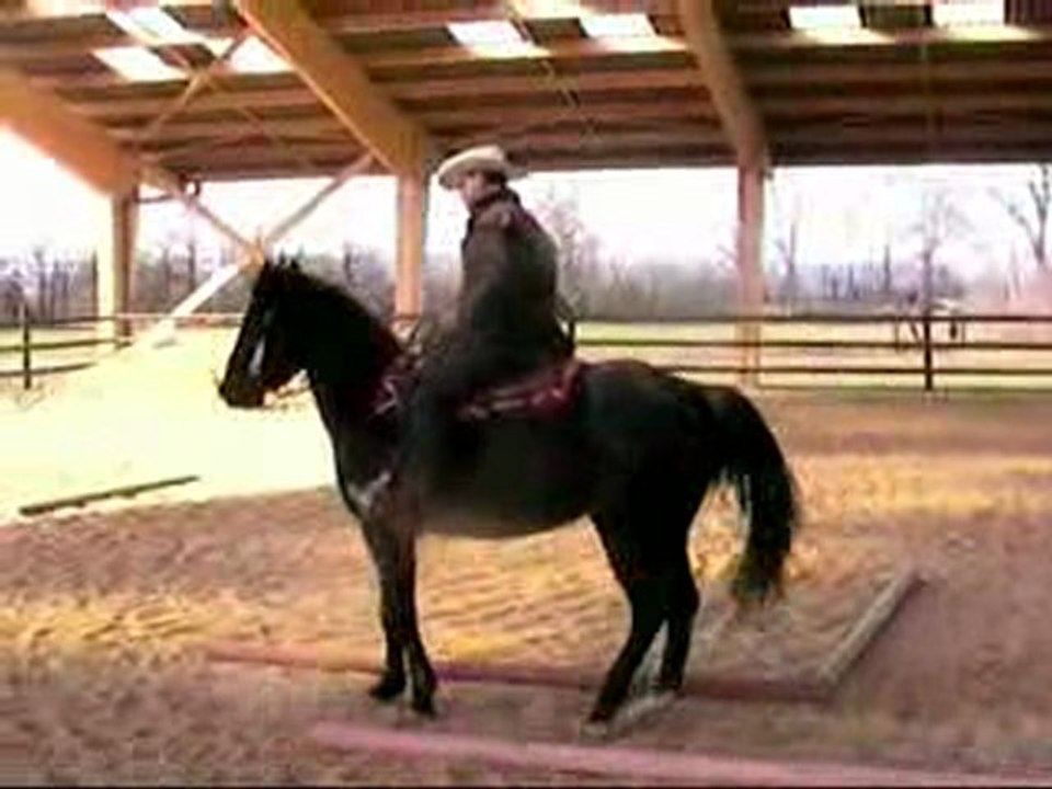 Thierry & Zuppa trail (Guerreiro Stables 21/02/2010)