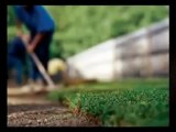 Lawn Care Winchester VA