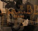 Thrill Is Gone#BB KING#cover#DUO