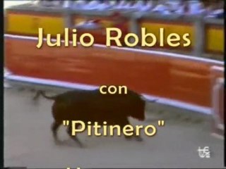 Julio Robles con Pitinero, de Atanasio Fernandez