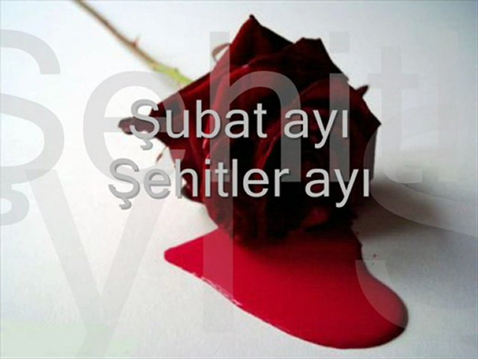 Şubat şehitleri anısına
