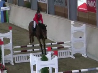 Carlos Boy WZ, Springpferdeprüfung Kl.A