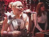New Young Pony Club 'Chaos'