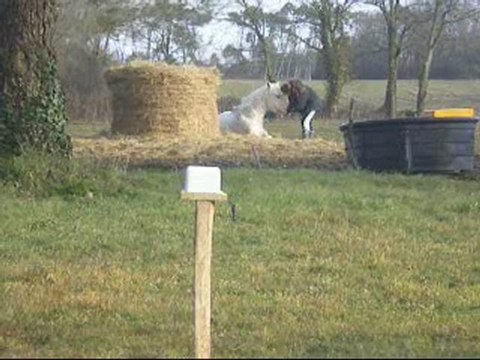 Océane qui est coucher et moi qui lui fait des gros calin
