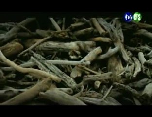 ±2℃_4of 4_ the fact Taiwan and all world will need to face