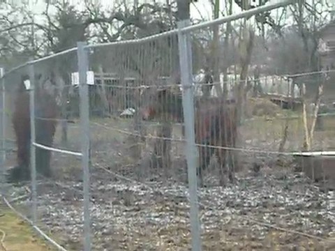 amis du cheval strasbourg