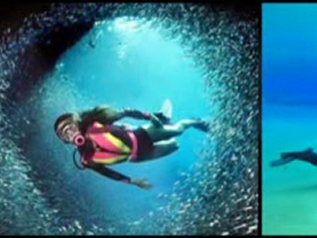 Find Out About Florida Scuba Diving