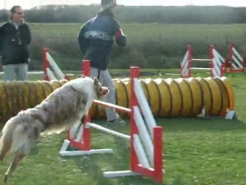 Maybe Jump Cugnaux février 2010