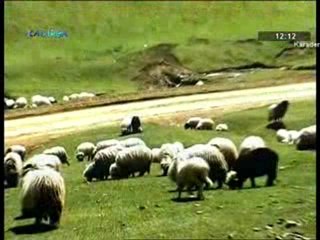 muhammet ali yılmaz-sonbahar