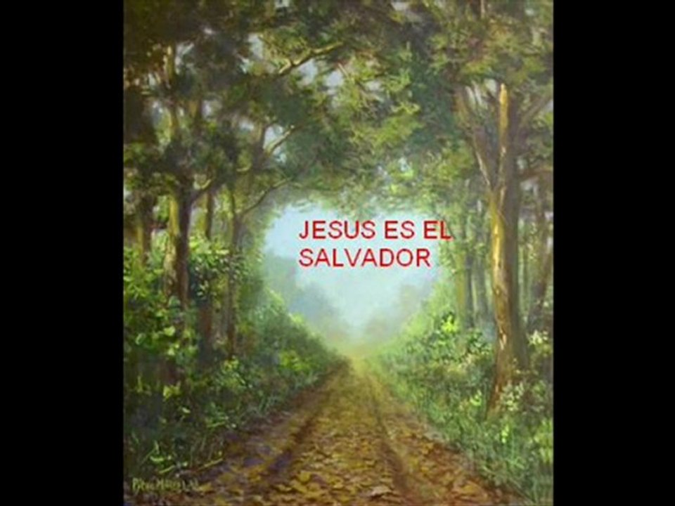 TE AMO TE AMO JESUS YO TE AMO