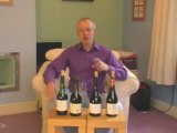 Simon Woods Wine Videos: Chilean Pinot Noir Part 1
