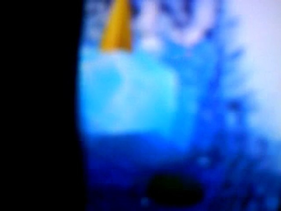 Bug Super Mario 64 DS