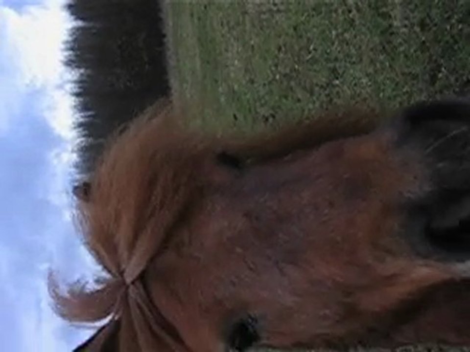 Aglaé et Fripon 23 février 009