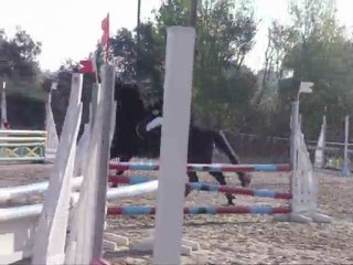 Margaux et pirato VELAUX