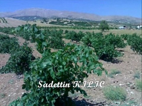 MÜĞREN KÖYÜ Elmalı / Antalya