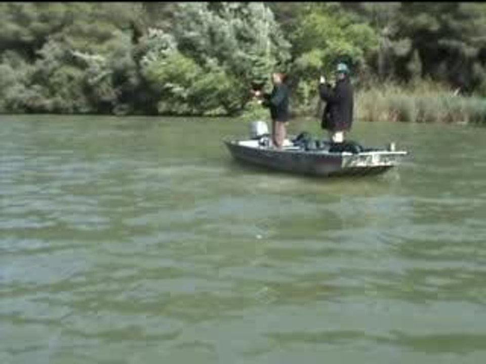 capture joli sandre