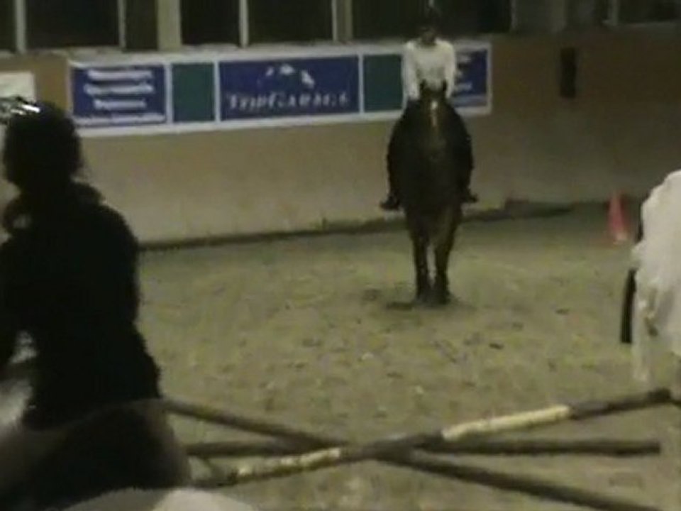 Anna's Day & Moi (croisillon vidéo 1)