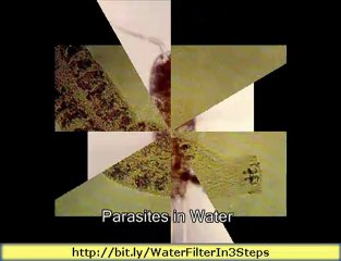 Best Water Filter in 3 Easy Steps