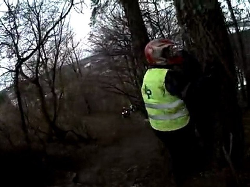 quad balade montée sur racine