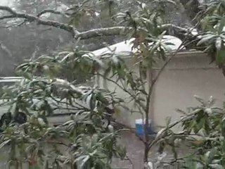Snow in Austin Texas February 23, 2010