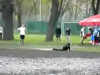 Regis joue au frisbee