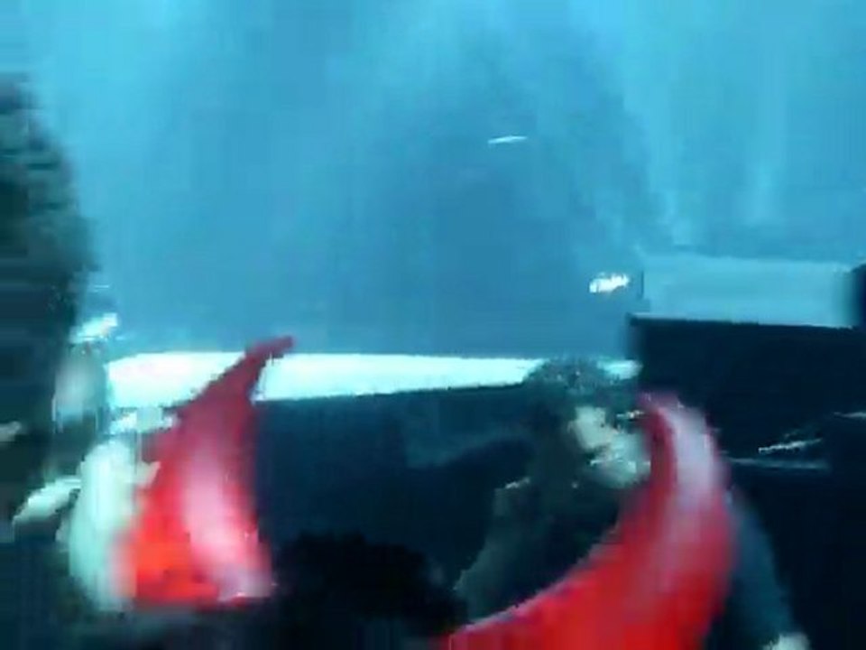 AC/DC Paris Bercy 25/02/2009 Let There Be Rock