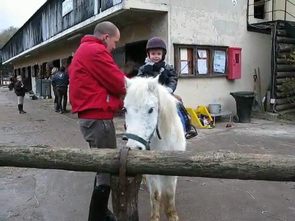 Jules et le poney