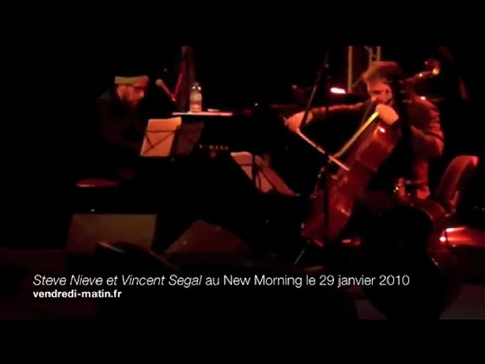 Steve Nieve interviewé sur http://www.vendredi-matin.fr