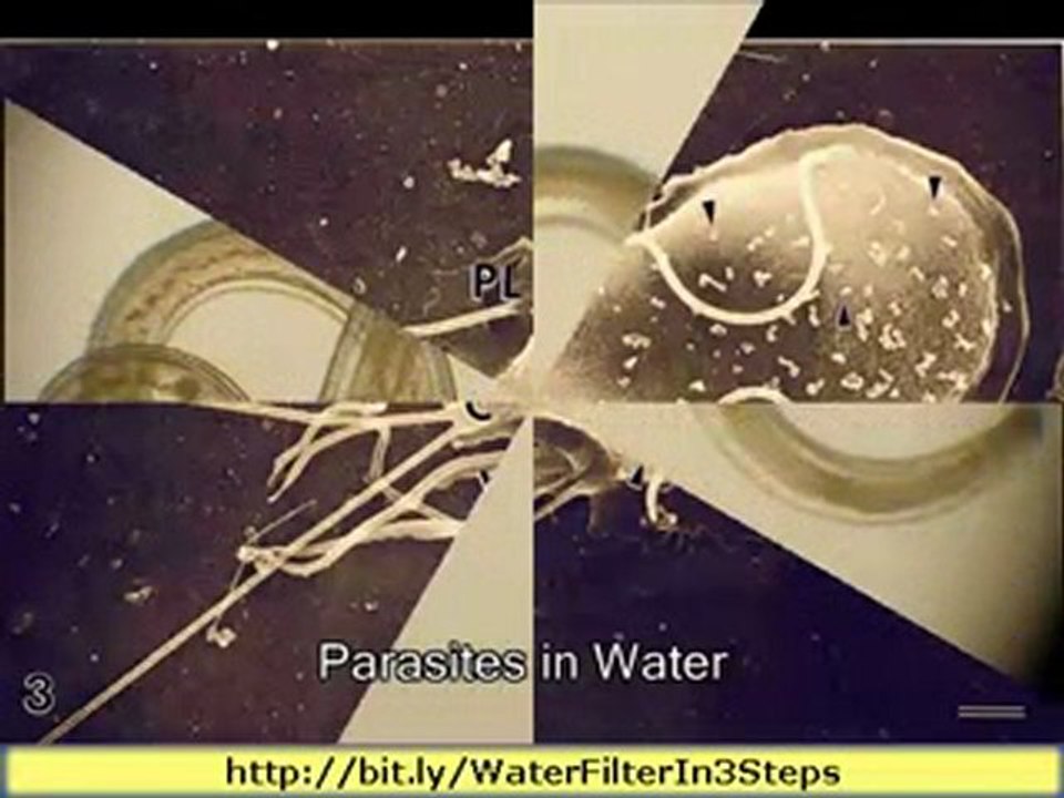 Best Home Water Purification Systems