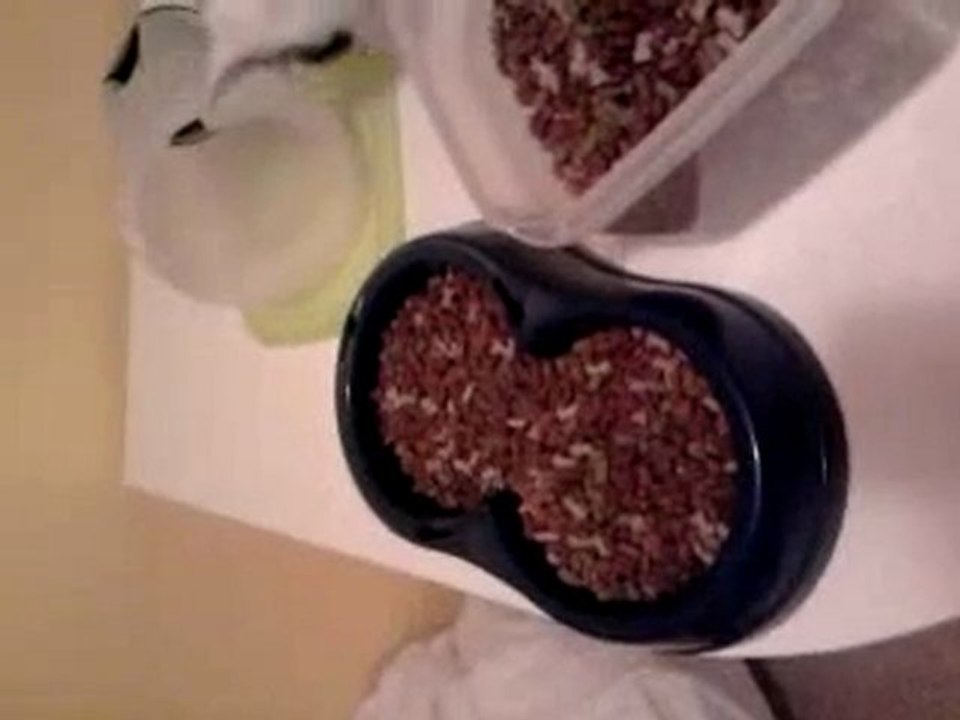 LOULOUTE et ses croquettes