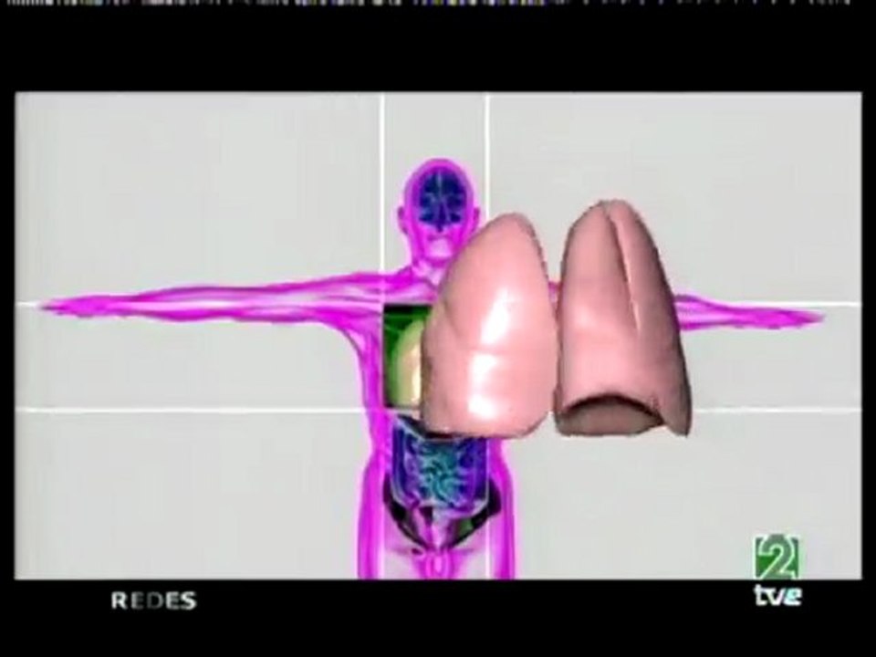 Asimetria corporal (2)