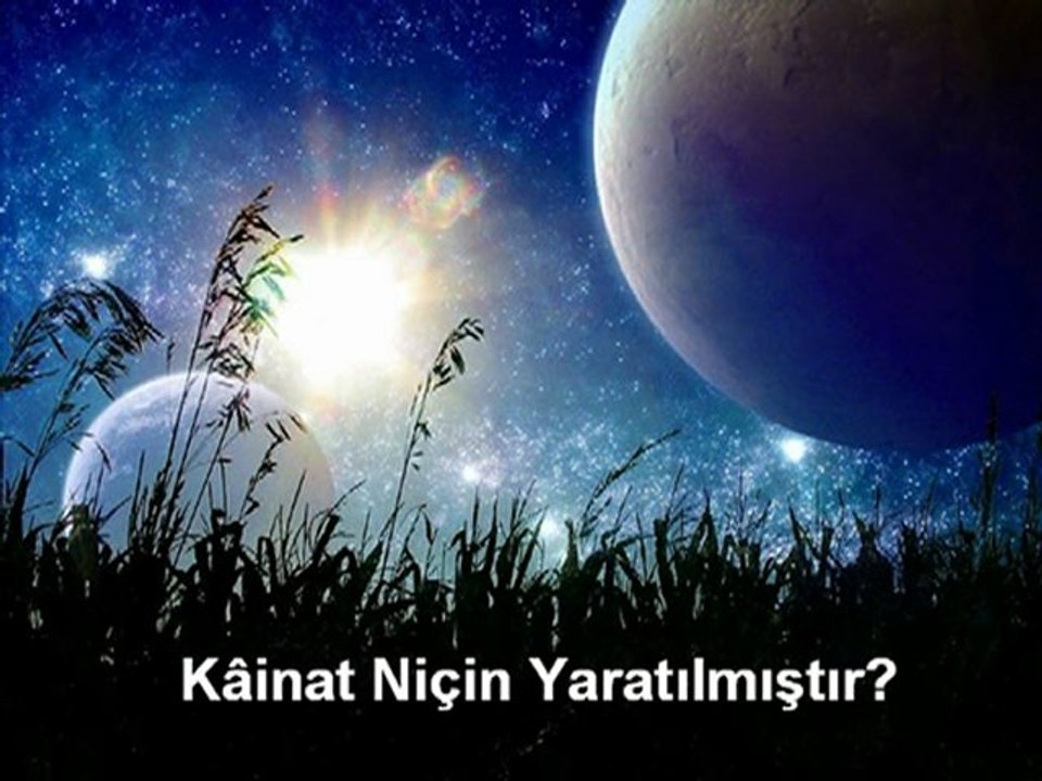 Kanatın Niçin Yaratılmıştır?