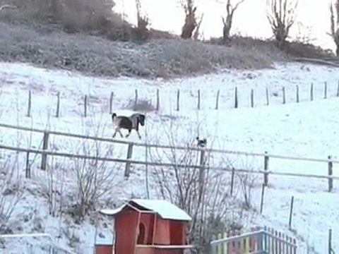 normandie sous la neige