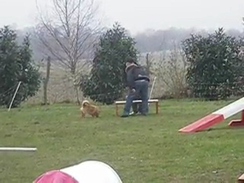 Reprise de l'agility 3