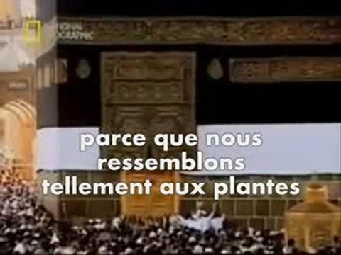 Théologie islamique par cheikh kichk (2 sur 4)