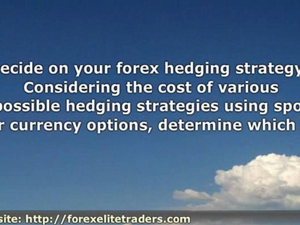 Foreign Exchange Hedging Strategies