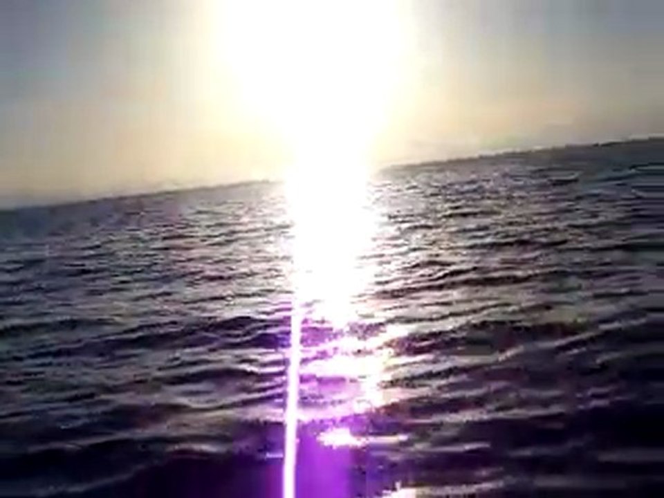 les dauphins qui nous suivent  au retour du lagon bleu