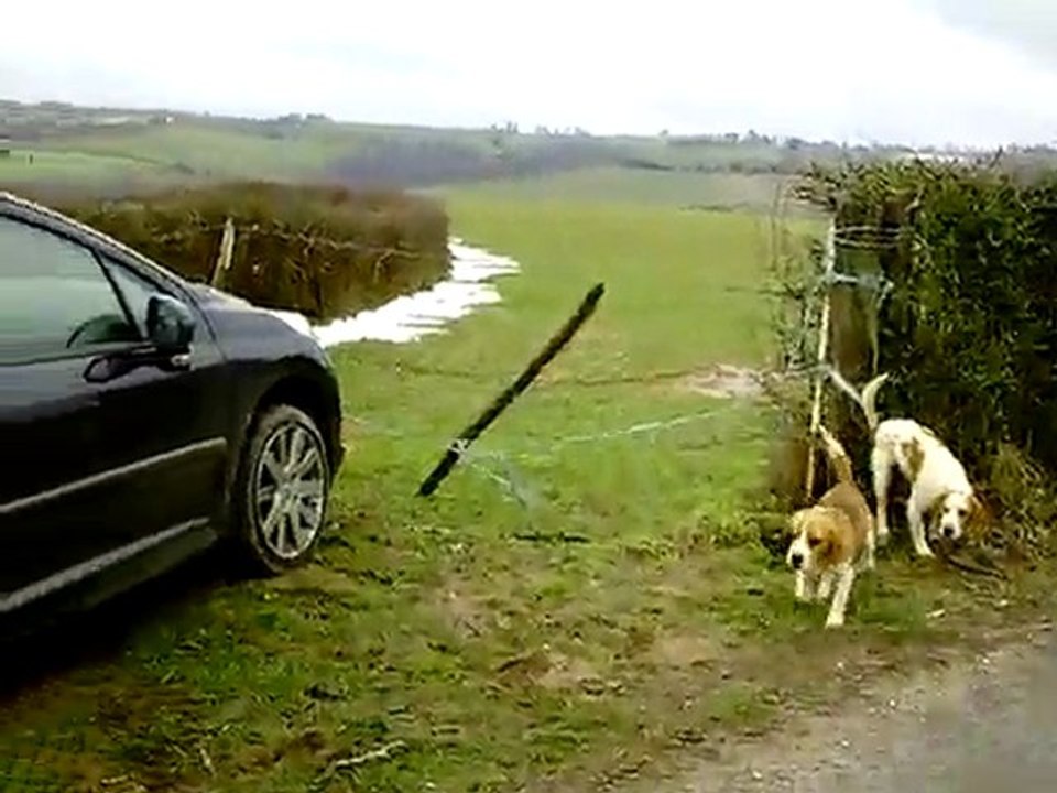 Cest fini pour nous !