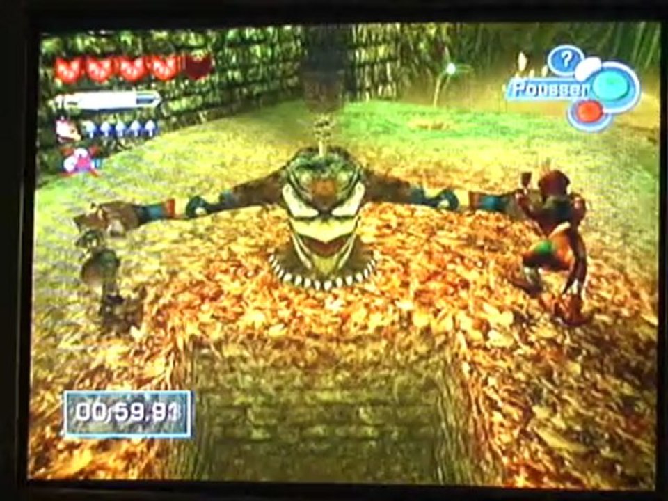 Starfox Adventures (20) : La peur du Renard