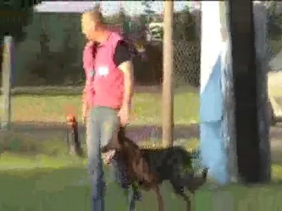 préparation brevet l'aigle 2009