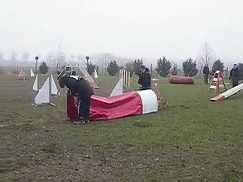 Reprise agility février 2010