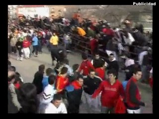 Toros en Pedraja de Portillo