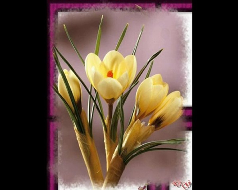 le printemps arrive
