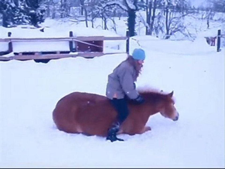 Jarny & Tao février