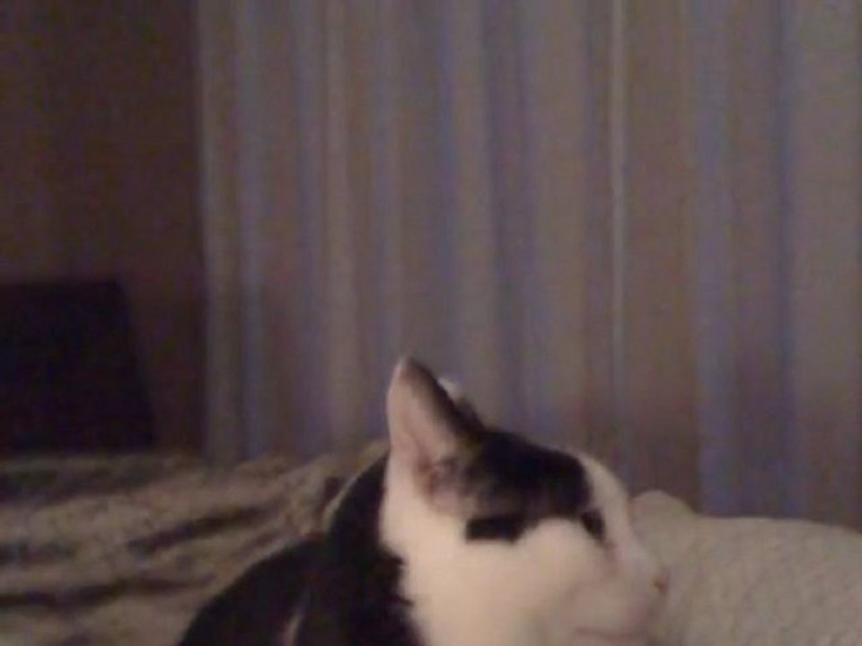 Jesus Loves the Little Children