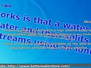 Alkaline Antioxidant Water Ionizers - Are They Really Useful