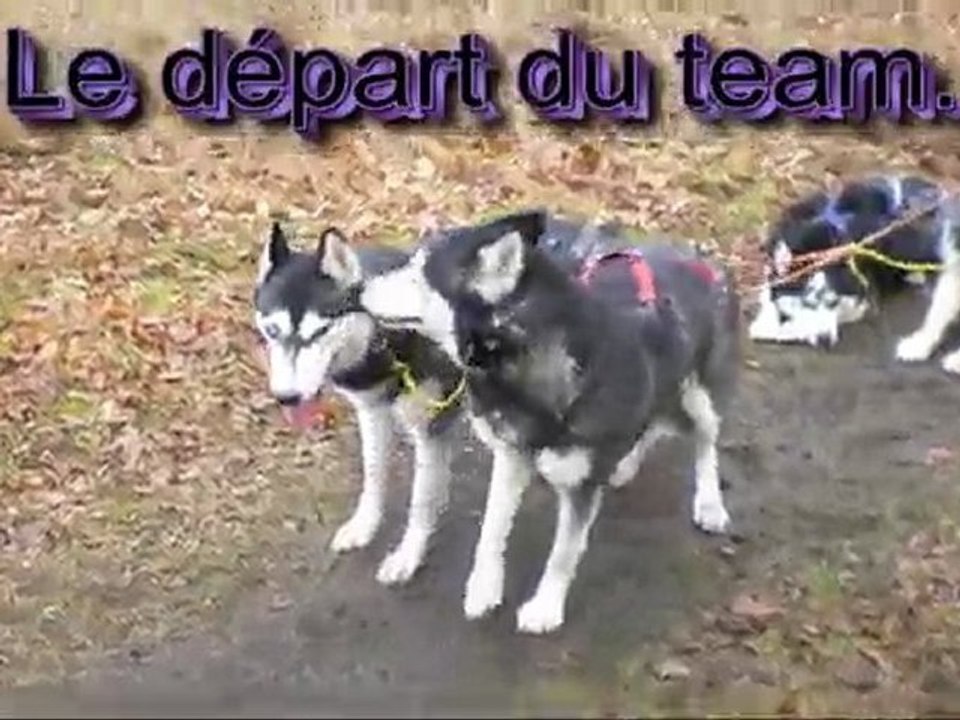 Le départ